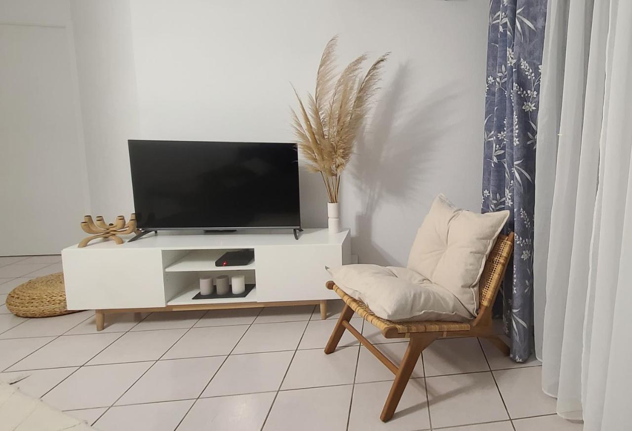 Appartement 63 M2, Tout Confort, Climatise. Saint-Cyprien  Eksteriør billede