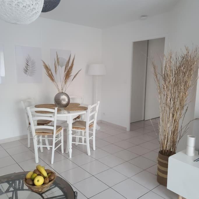 Appartement 63 M2, Tout Confort, Climatise. Saint-Cyprien  Eksteriør billede