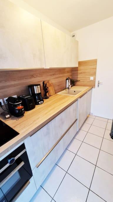 Appartement 63 M2, Tout Confort, Climatise. Saint-Cyprien  Eksteriør billede