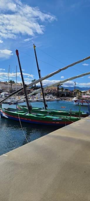 Appartement 63 M2, Tout Confort, Climatise. Saint-Cyprien  Eksteriør billede
