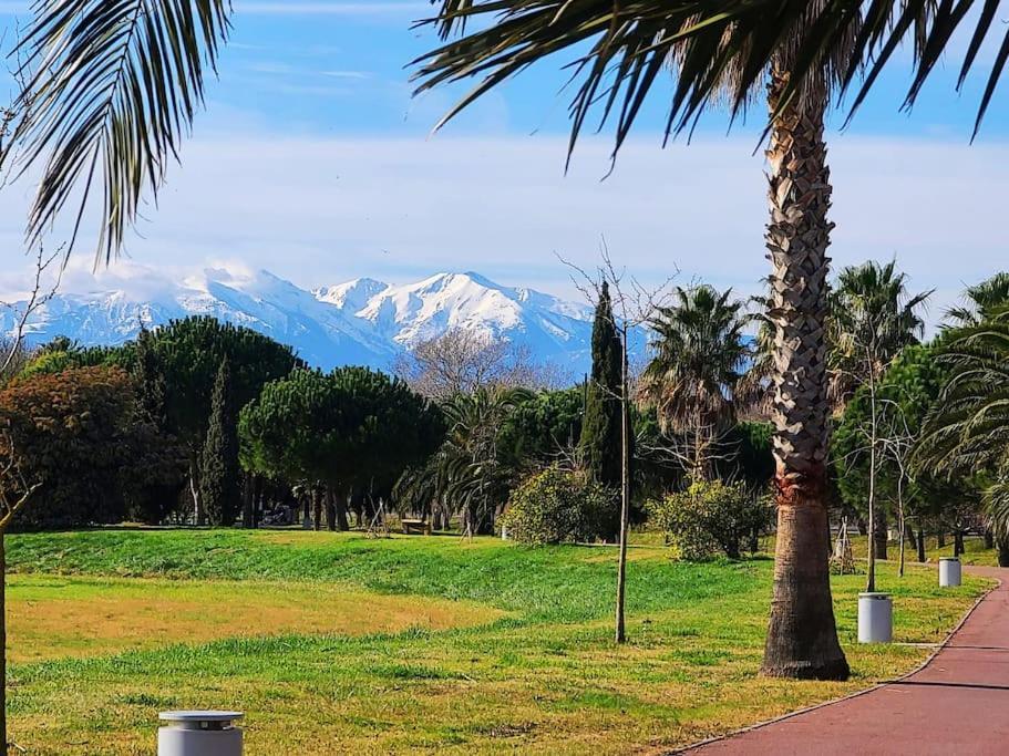 Appartement 63 M2, Tout Confort, Climatise. Saint-Cyprien  Eksteriør billede